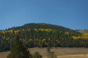 20201020FallColors2020086.jpg